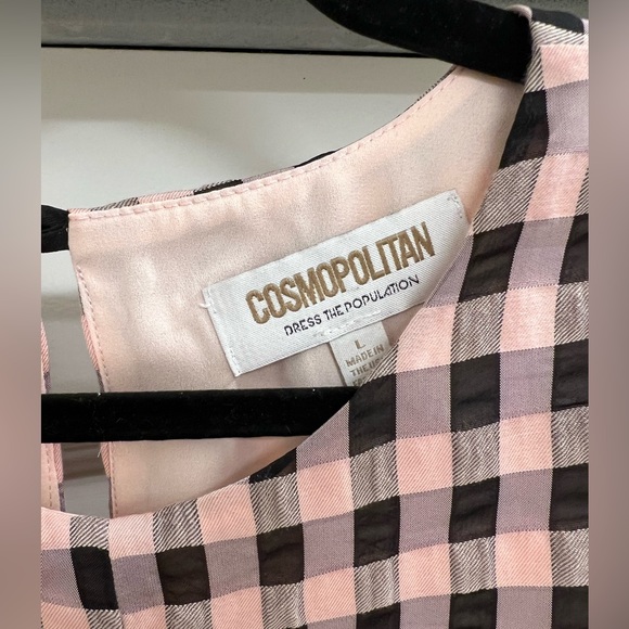 Dress the Population Gingham Tie Front Top - Picture 5 of 7